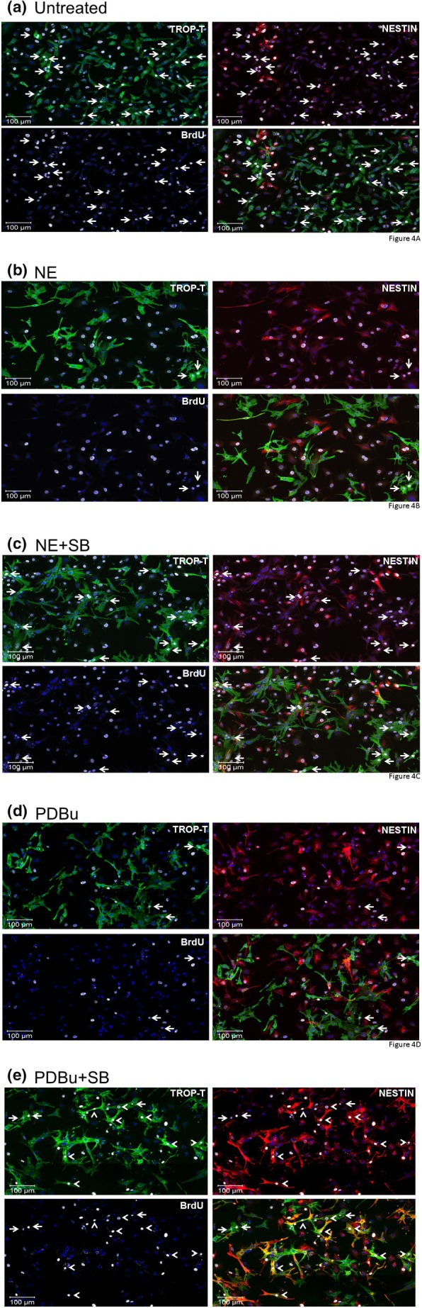 FIGURE 4