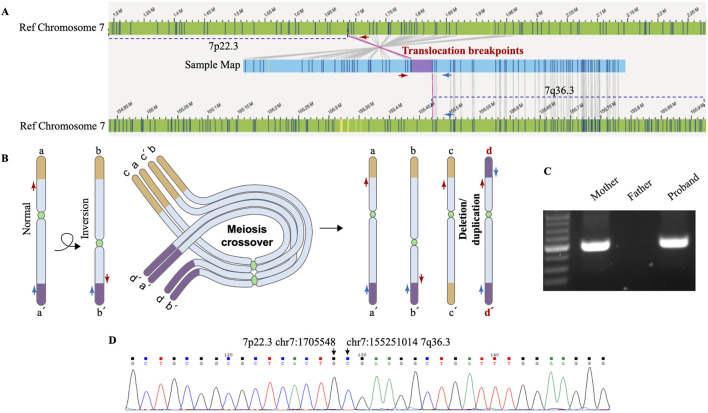FIGURE 3