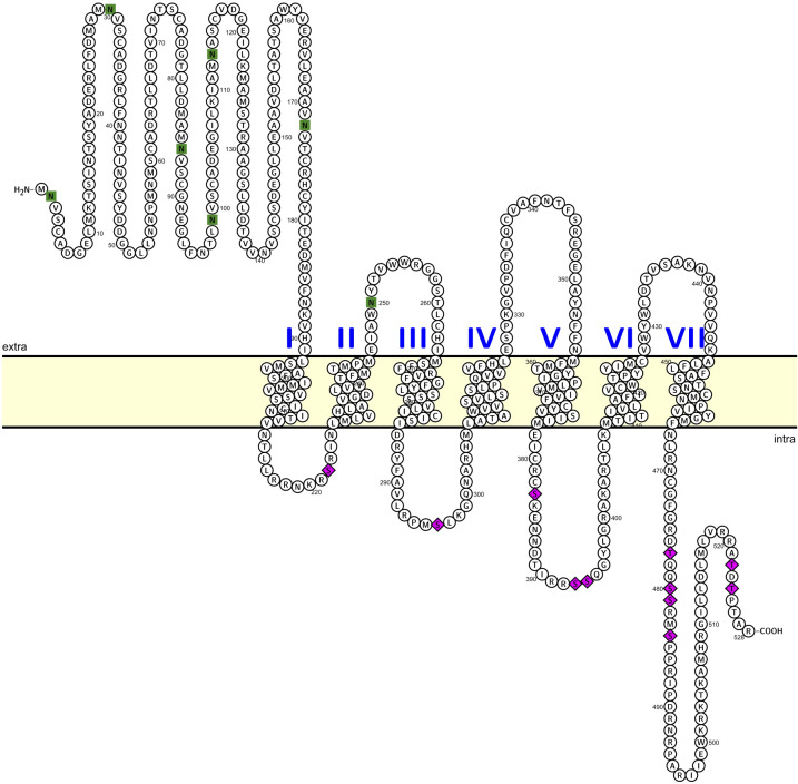 Figure 1