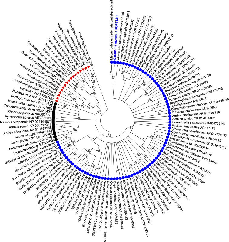 Figure 2