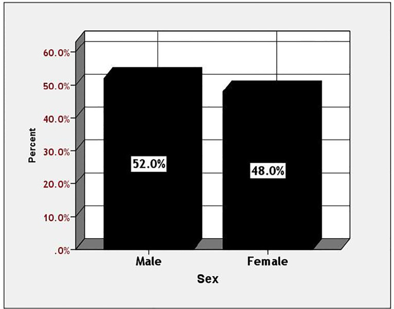 Figure 1