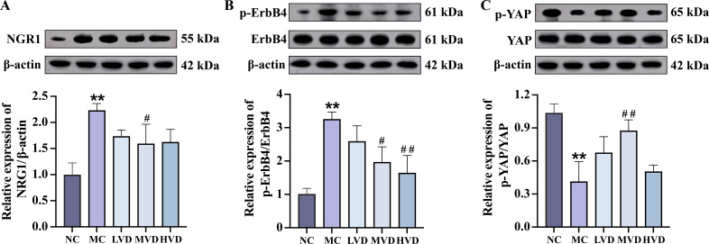 Figure 5