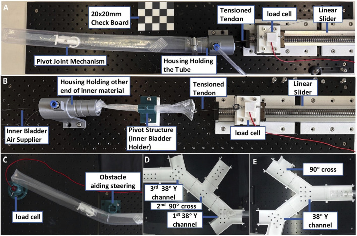 FIGURE 3