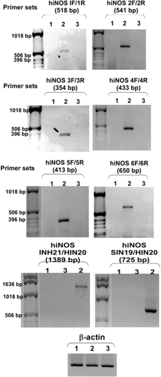 FIGURE 3