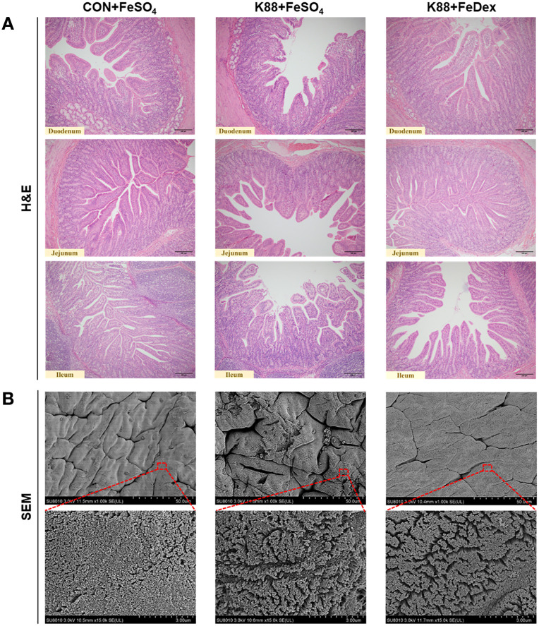 Figure 2