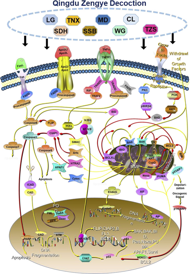 FIGURE 6