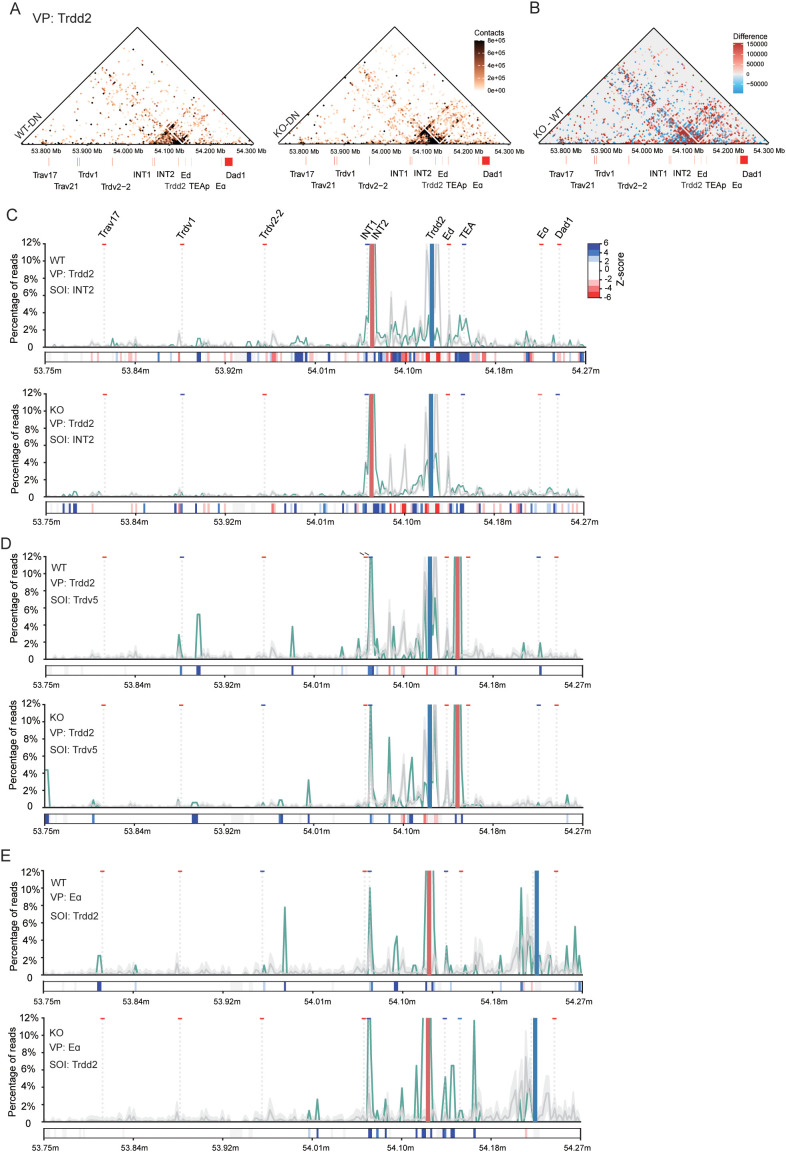 Figure 5