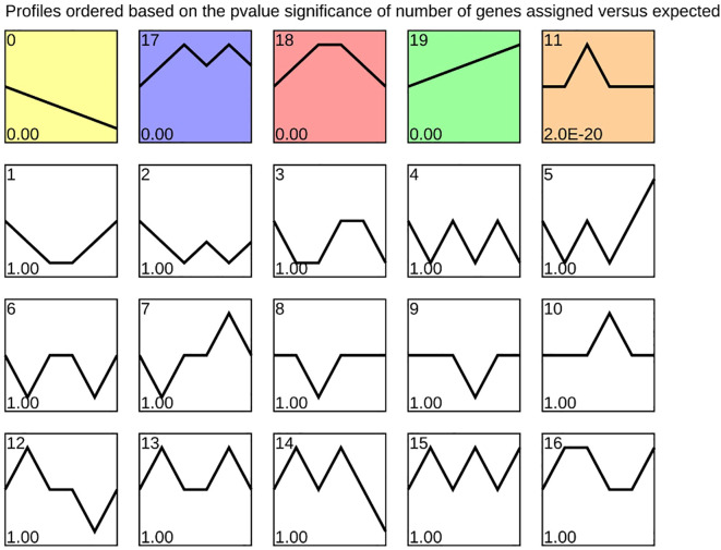 Figure 9