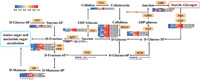 Figure 11