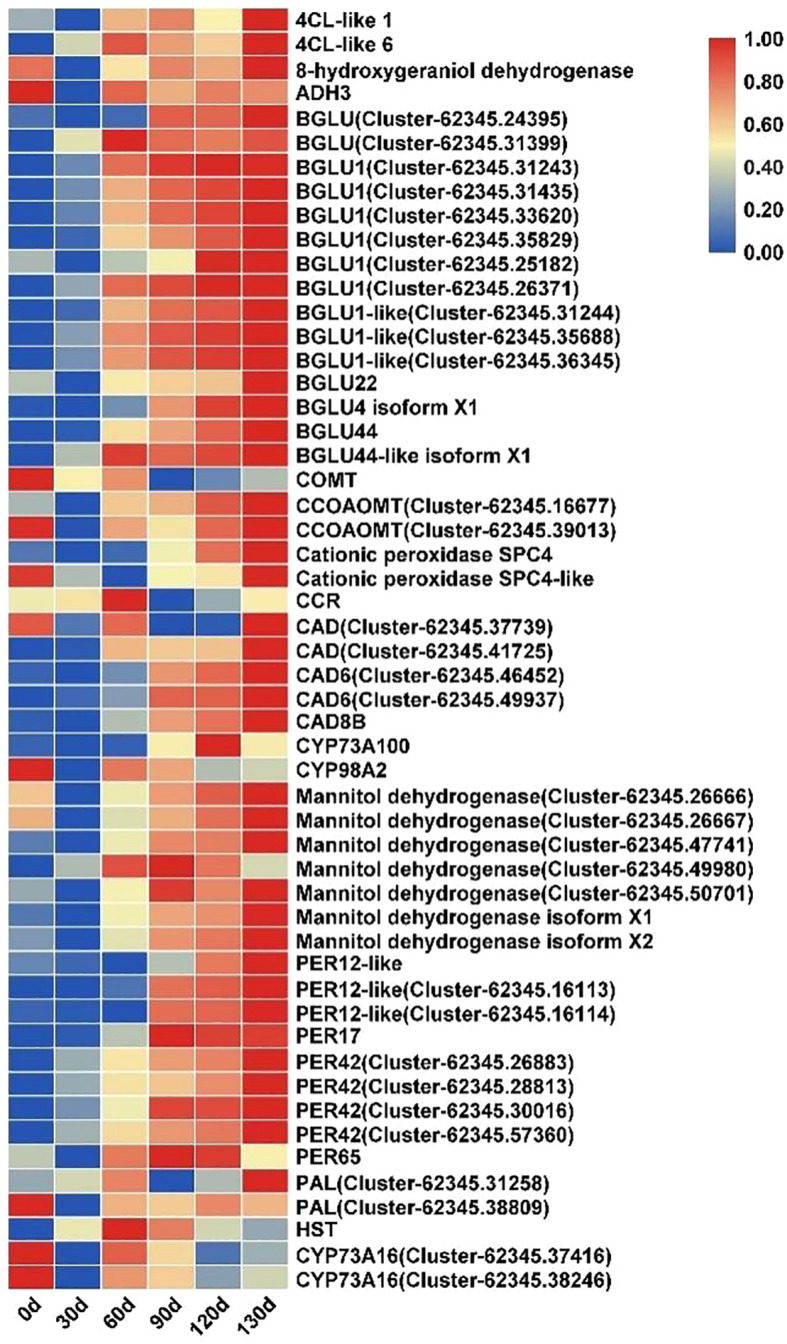 Figure 12