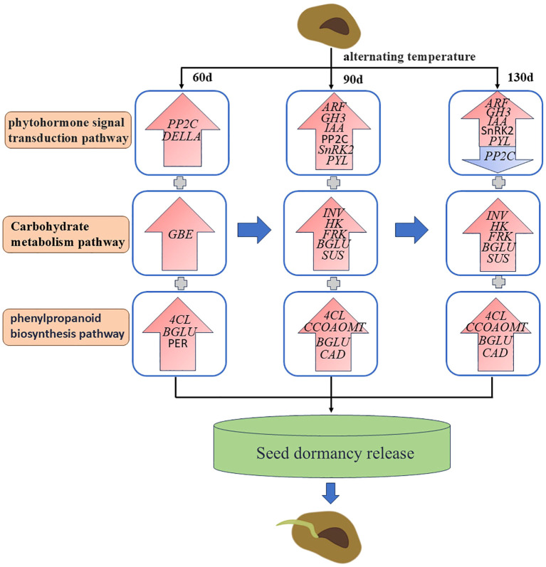 Figure 14