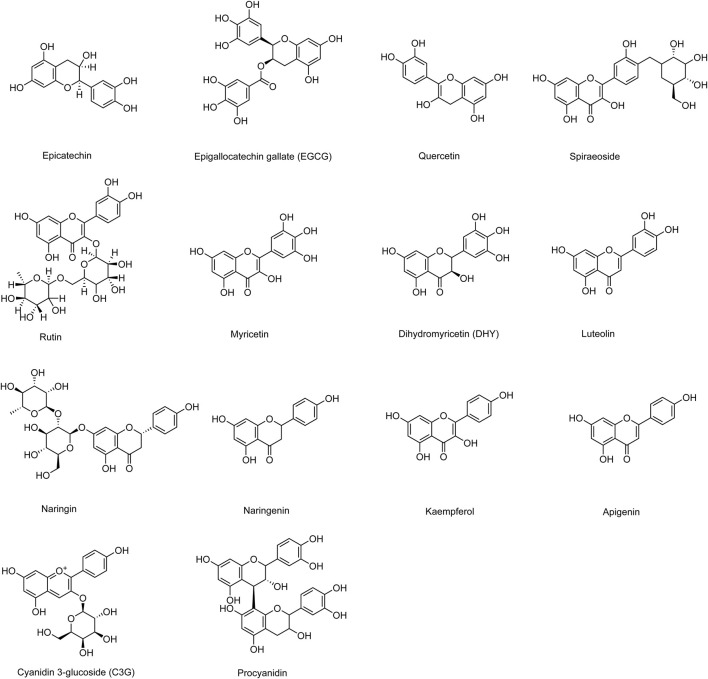 FIGURE 2