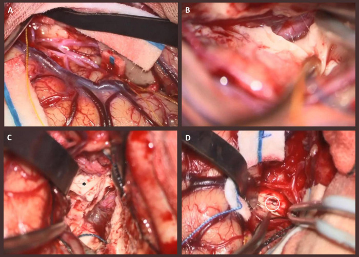 FIGURE 3