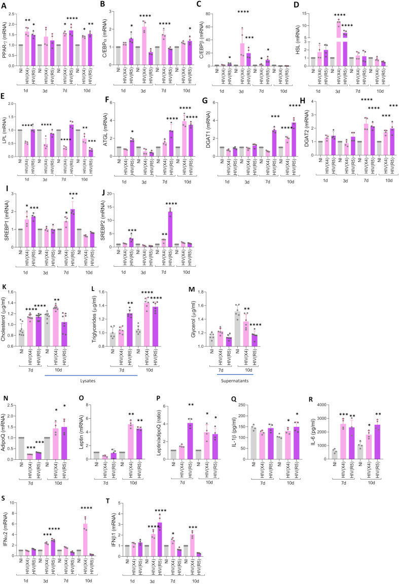 Figure 4
