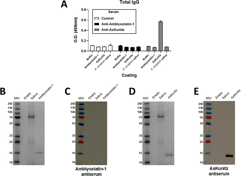 Figure 6