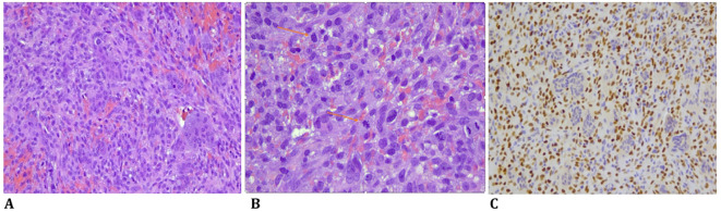 Figure 1