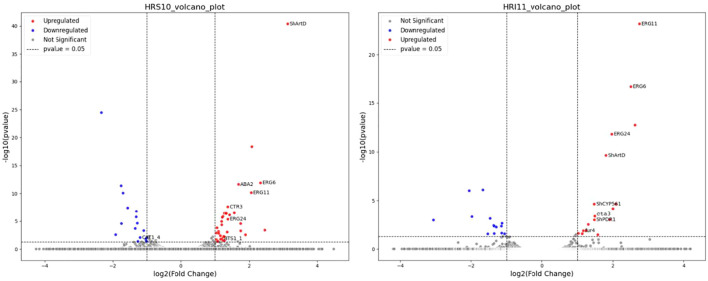 Figure 3