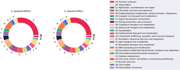 Figure 6