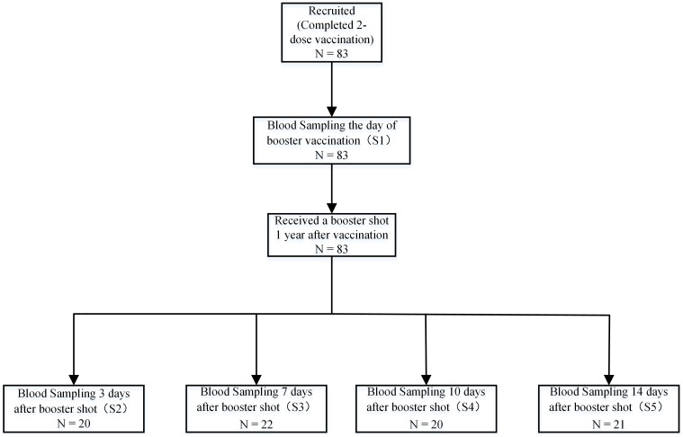 Figure 1