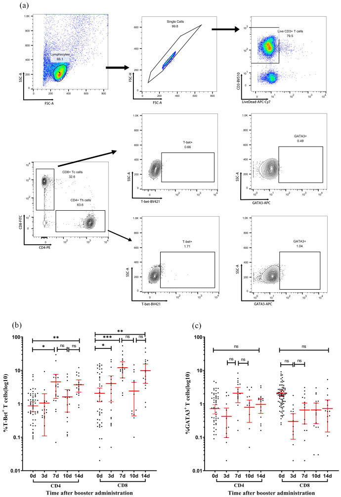 Figure 4