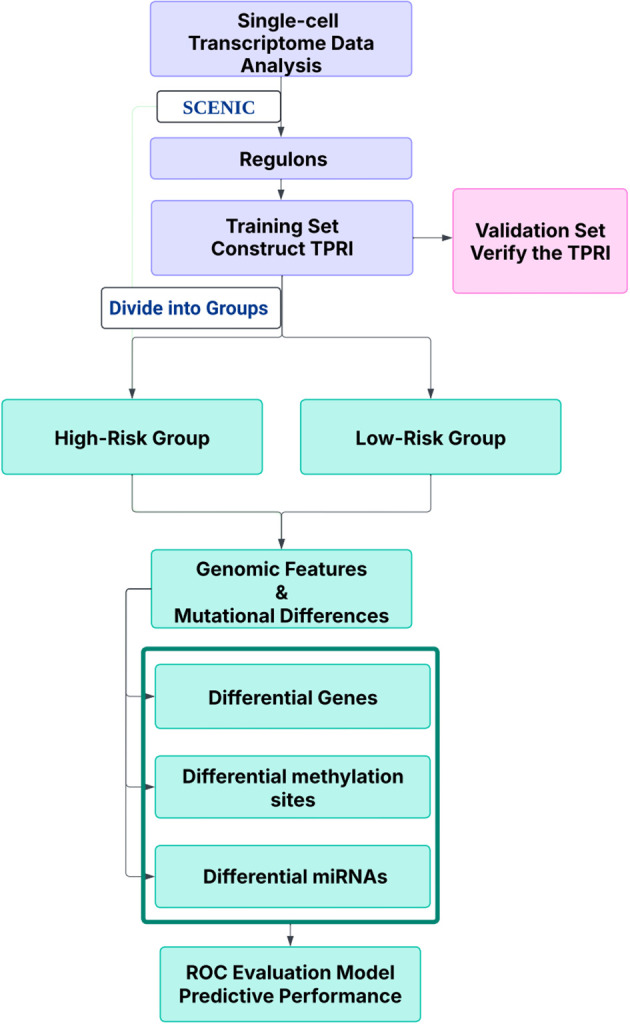 Figure 1