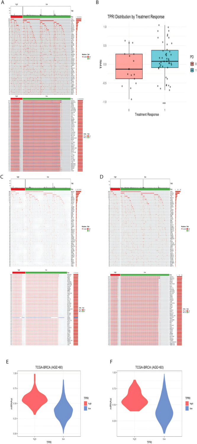 Figure 5