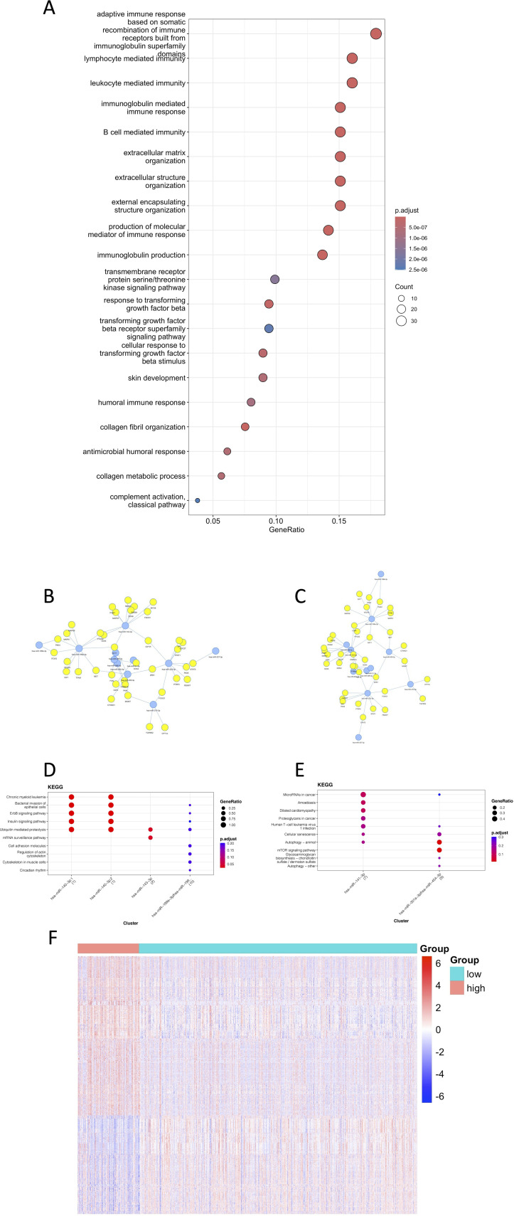 Figure 6