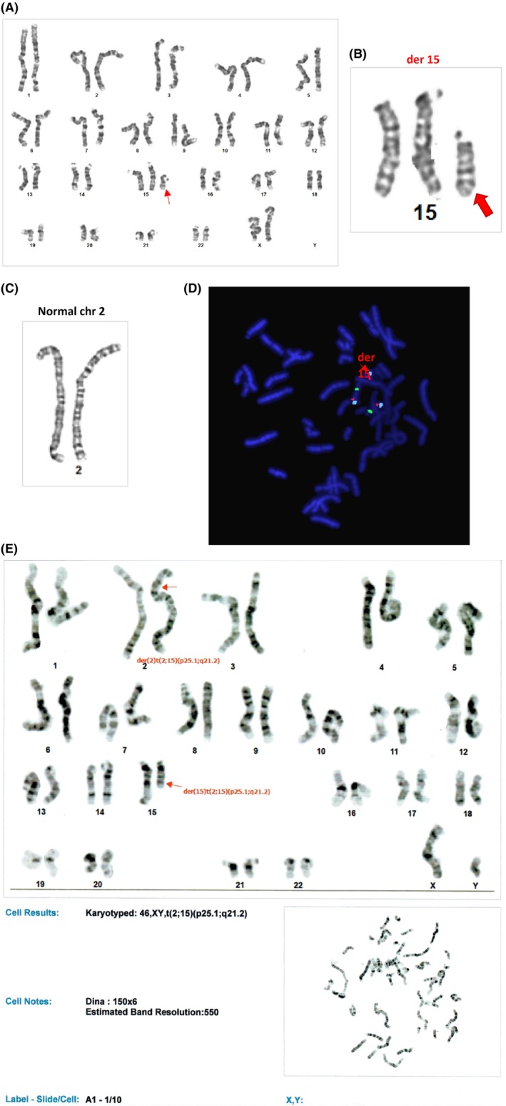 FIGURE 1