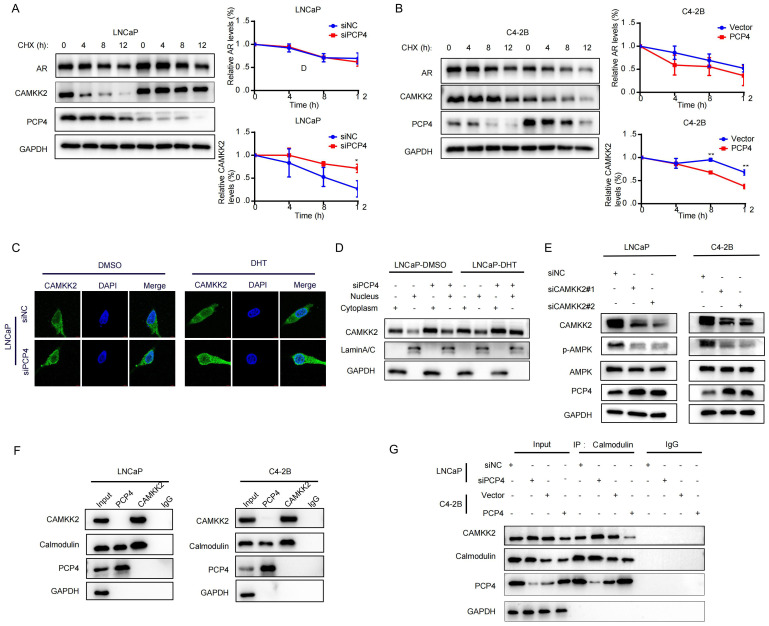 Figure 6