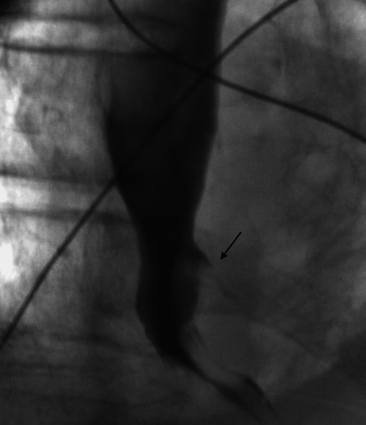 Figure 7