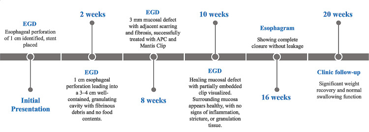 Figure 10