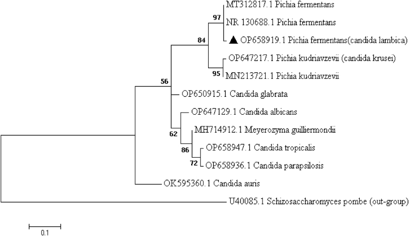 Figure 2
