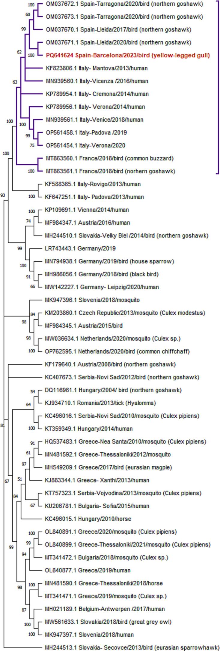 Figure 5