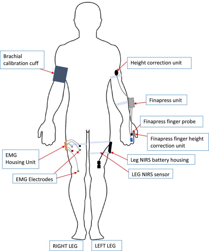 FIGURE 1