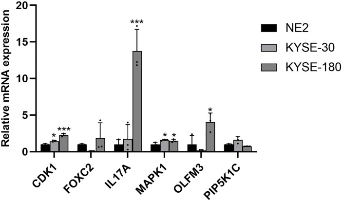 Figure 12