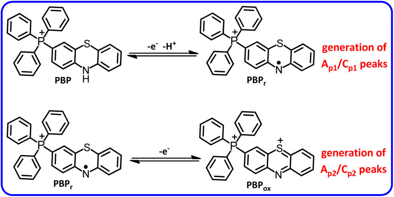 Scheme 3