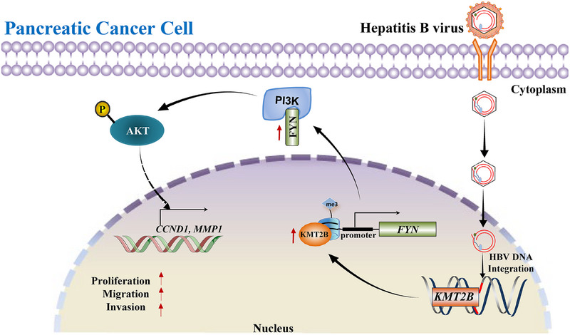 FIGURE 6