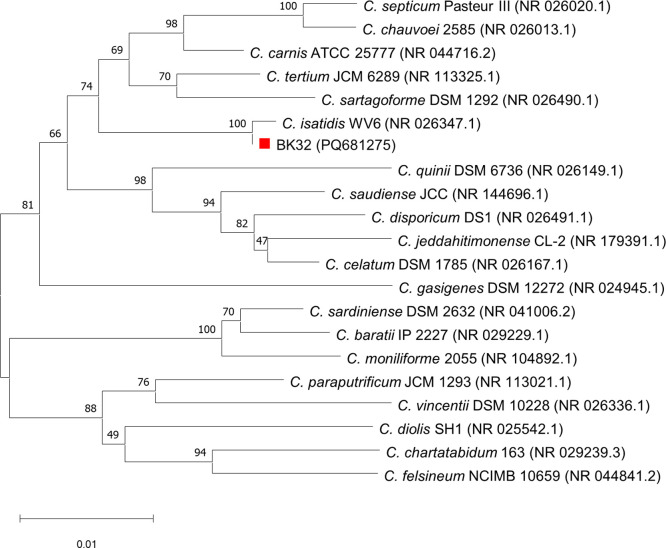 Figure 2