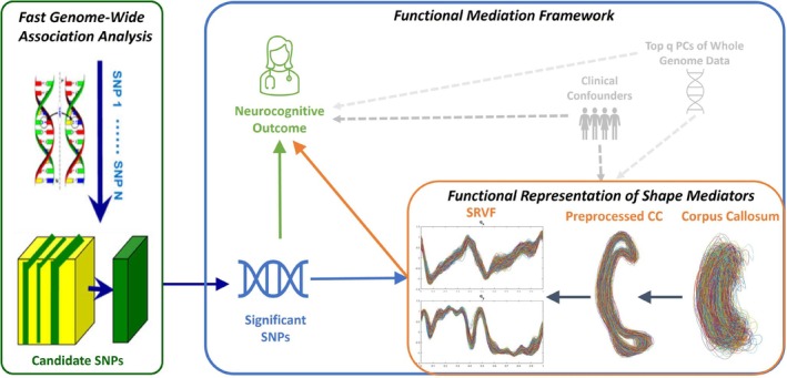 FIGURE 1