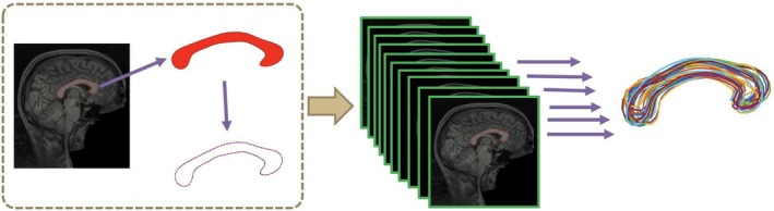 FIGURE 2