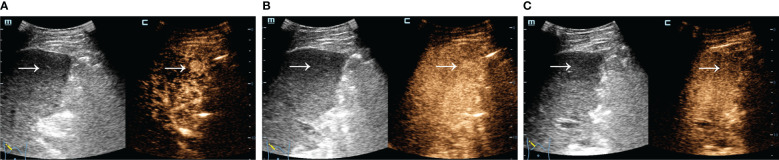 Figure 2