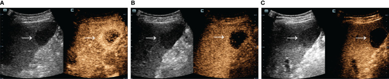 Figure 3