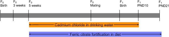 FIGURE 1