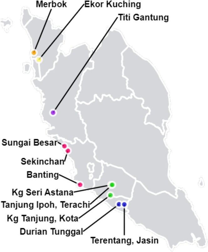 FIGURE 1
