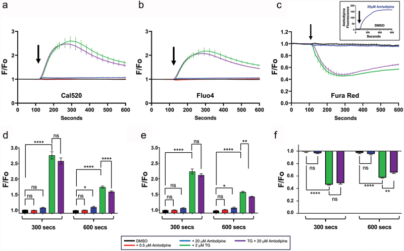 Figure 5