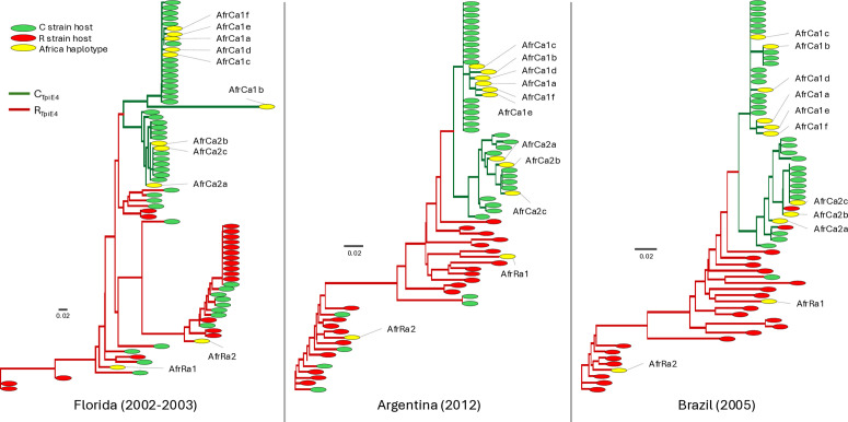 Fig 4