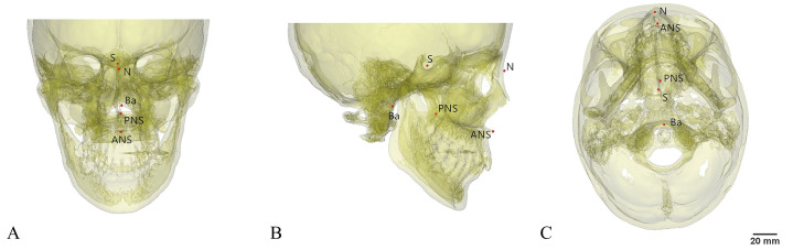 Fig 1