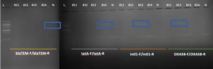 Fig 7