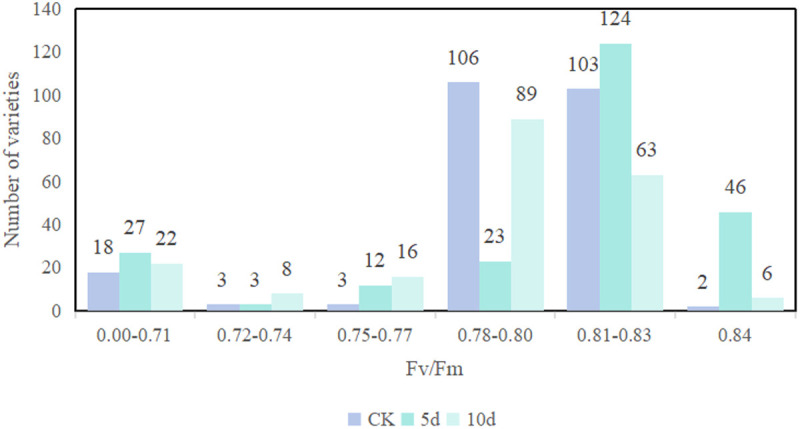 Fig 12