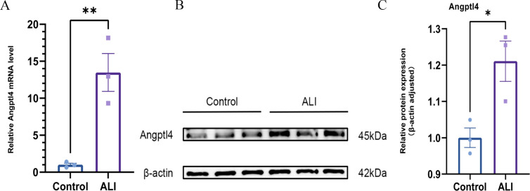 Fig 9